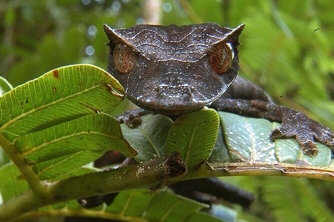 Private Tour for the Highlights of Madagascar - FAQ
