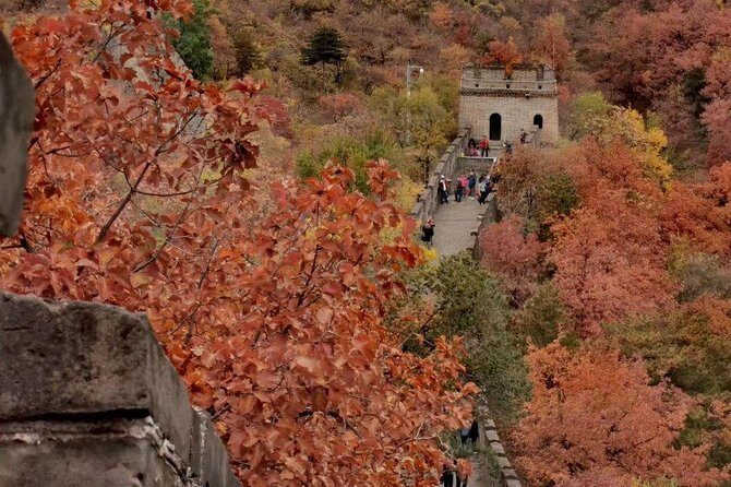 Private Tour: Forbidden City and Mutianyu Great Wall with Cable Car or Toboggan - An In-Depth Look at the Tour Experience