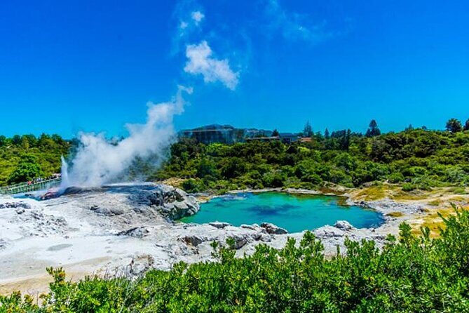 Private Tour from Auckland Hobbiton Rotorua and Wai-O-Tapu - The Sum Up