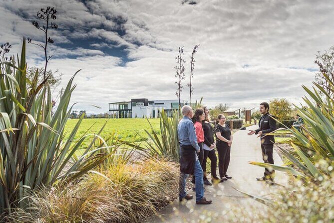 Private tour from Auckland - Waitomo Glowworm Caves, Zealong Tea & Kiwi Bird - Exploring the Best of Waikato: A Private Tour from Auckland