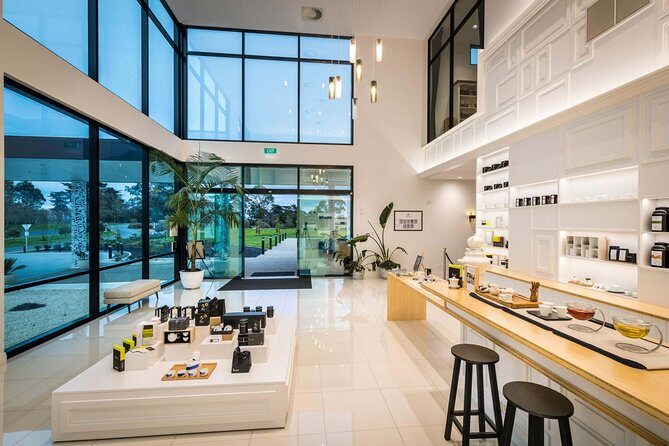 Private tour from Auckland - Waitomo Glowworm Caves, Zealong Tea & Kiwi Bird - What’s Included & Why It Matters