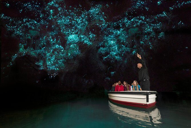 Private tour from Auckland - Waitomo Glowworm Caves, Zealong Tea & Kiwi Bird - A Closer Look at the Value