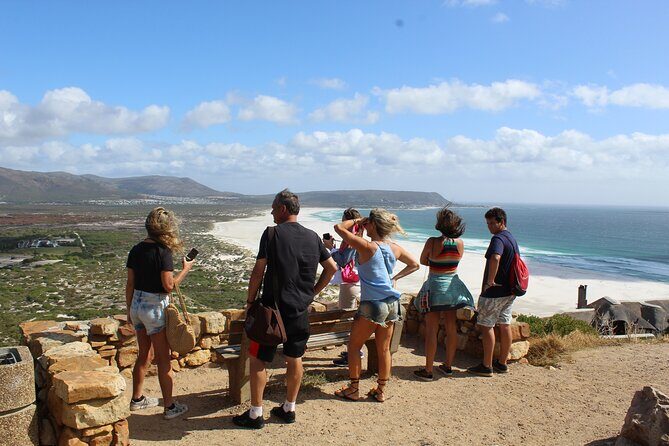 Private Tour from Cape Town To Cape of Good Hope Penguins Plus Wine Tasting F/D - An In-Depth Look at the Experience