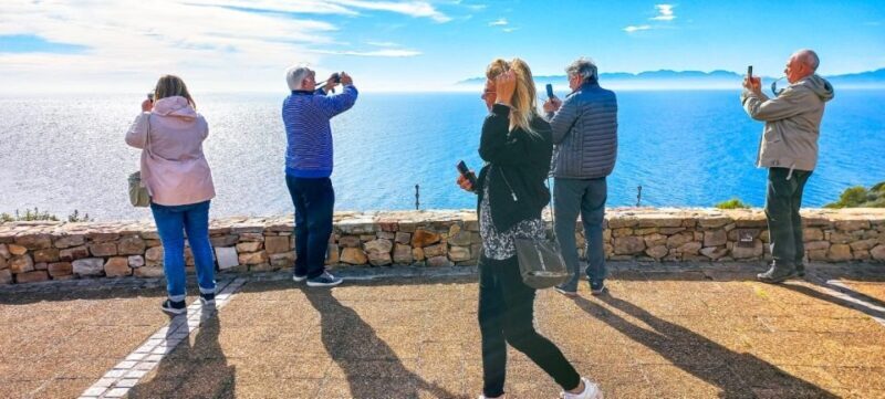 Private Tour from CapeTown to Cape of Good hope & cape point - A Deep Dive into the Experience