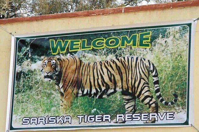 Private Tour from Delhi to Sariska Safari and Jaipur (1N/2D) - An In-Depth Look at the Tour Itinerary