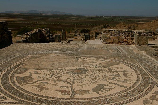 Private Tour from Fez: Meknès and Roman Ruins of Volubilis - The Sum Up