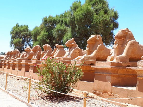 Private Tour from Luxor Airport to the Best Monuments of Luxor - What Travelers Say