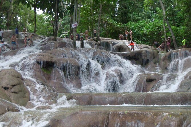 Private Tour From Ocho Rios To Dunn's River Falls - Who Will Love This Tour?