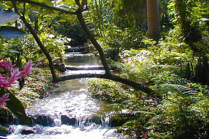 Private Tour From Ocho Rios To Konoko Falls And Garden and Shopping - An Honest Look at the Private Tour from Ocho Rios to Konoko Falls and Garden