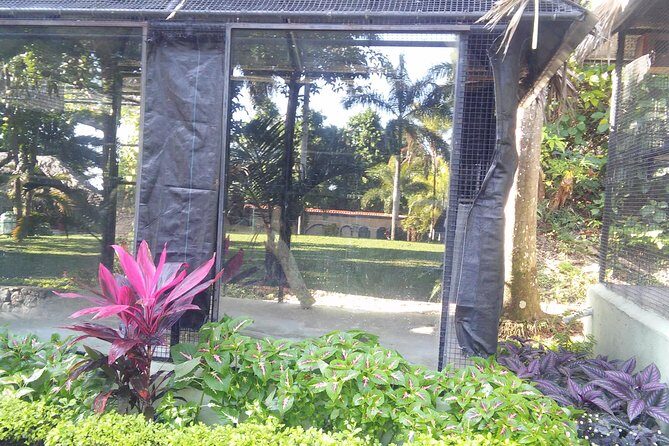 Private Tour From Ocho Rios To Konoko Falls And Garden and Shopping - The Fine Print: Practical Details