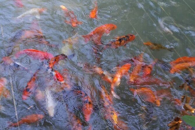 Private Tour From Ocho Rios To Konoko Falls And Garden and Shopping - Who Should Consider This Tour?