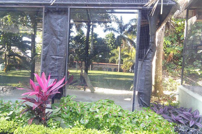 Private Tour From Ocho Rios To Konoko Falls And Garden and Shopping - The Sum Up: The Best Fit for Authentic, Guided Exploration