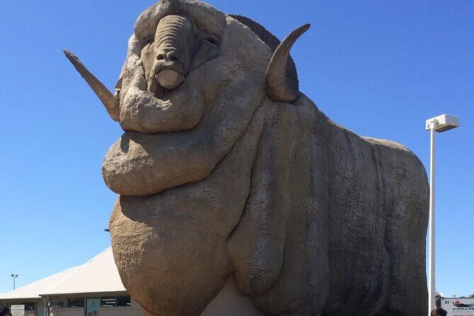 Private Tour from Sydney to Canberra - An In-Depth Look at the Tour Experience