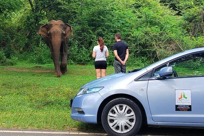 Private Tour from Weligama to Ella with Udawalawe Safari - Authentic Experiences and Genuine Value