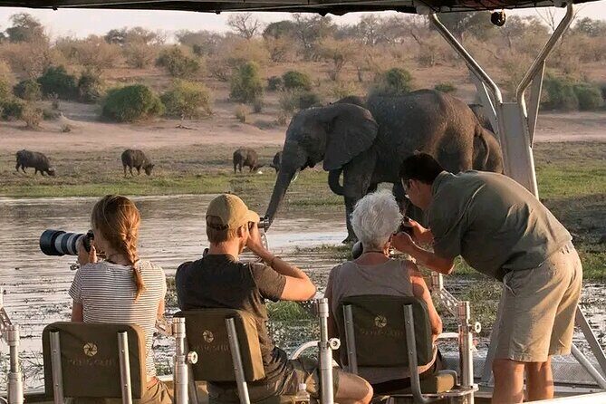 Private Tour - Game Drive & Rhino Walk Safari - Key Points
