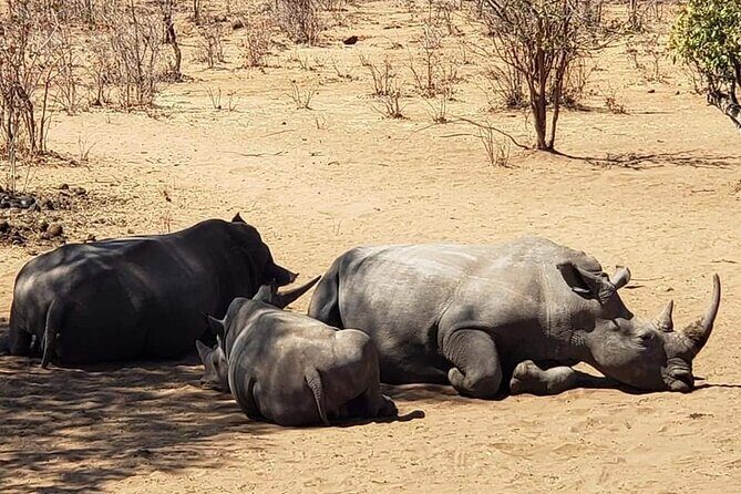 Private Tour - Game Drive & Rhino Walk Safari - Frequently Asked Questions