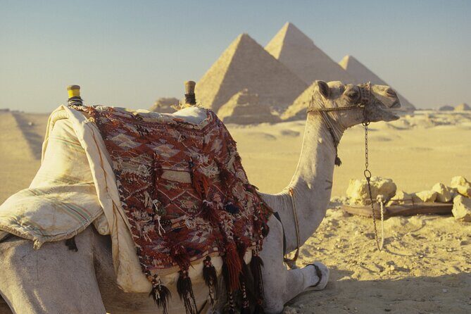 Private Tour Giza Pyramids, Sakkara, Memphis, Lunch & Camel Rides - The Sum Up