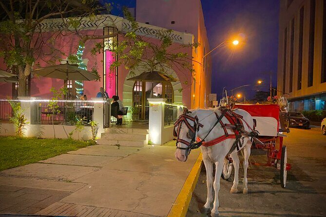 Private Tour Guide in Merida, 100% customisable - Why This Tour Could Be a Great Fit for You