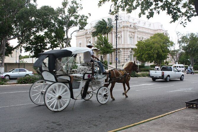 Private Tour Guide in Merida, 100% customisable - FAQs