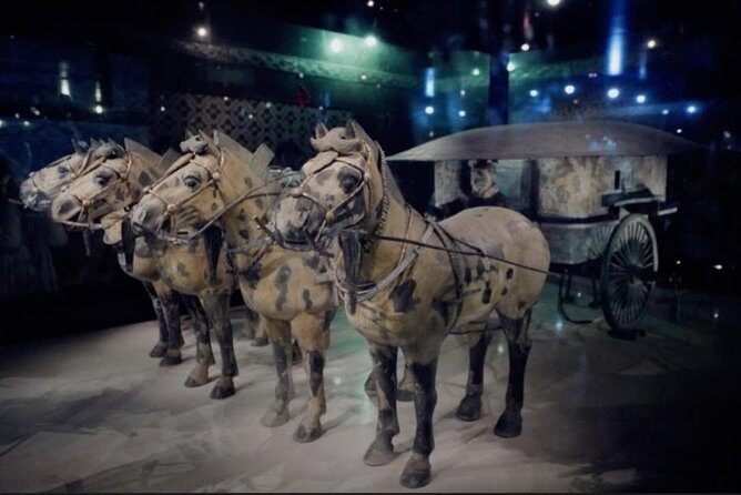 Private Tour Guide or Transfer for Terracotta Warriors and Xi'an - Practical Details: What You Should Know
