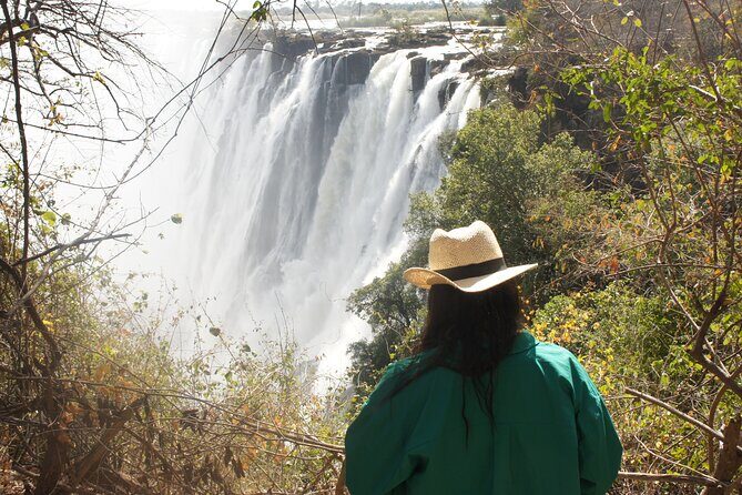 Private Tour- Guided Tour Of The Falls - An Honest Look at the Experience