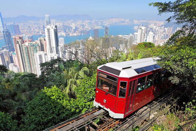 Private Tour: Half-Day Highlights Tour of Hong Kong Island - Transportation and Practicalities