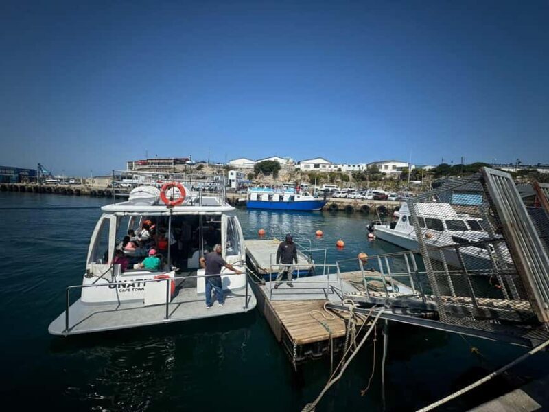 Private Tour: Hermanus Whale Watching & Penguin Colony Visit - Key Points