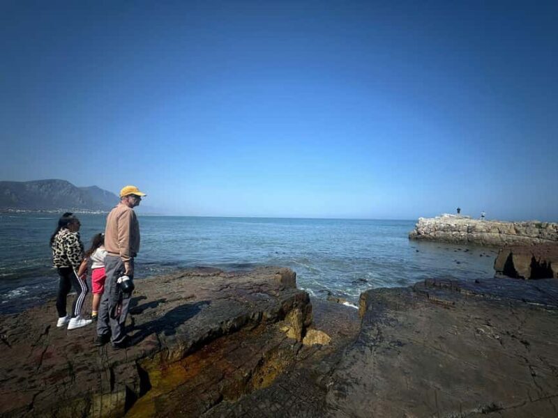 Private Tour: Hermanus Whale Watching & Penguin Colony Visit - A Closer Look at the Hermanus Whale Watching & Penguin Colony Tour