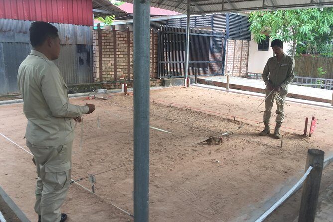Private Tour: HERO Rats & Angkor National Museum - The Experience from a Traveller’s Perspective