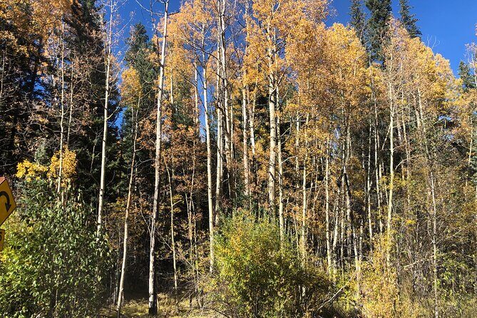 Private tour hiking to Saint Mary's Glacier, Red Rock and Hot Springs - The Sum Up