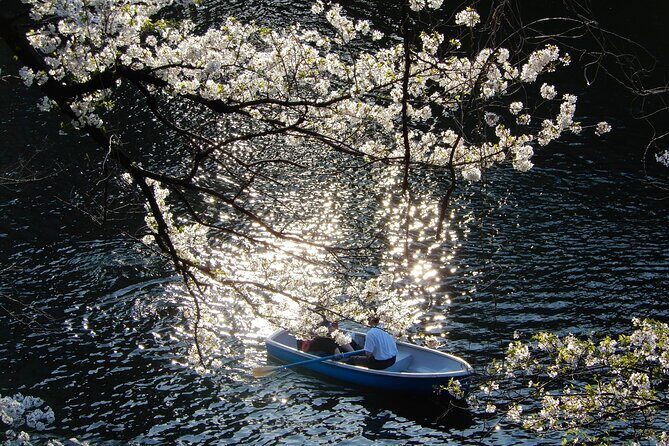Private Tour - History, Art and Nature at the Imperial Palace - FAQ