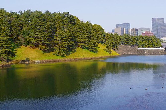 Private Tour - History, Art and Nature at the Imperial Palace - The Sum Up