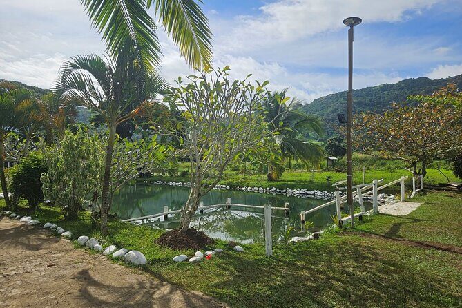 Private Tour: Hot spings & Sleeping Giant Garden hiking Adventure - Who Will Love This Tour?