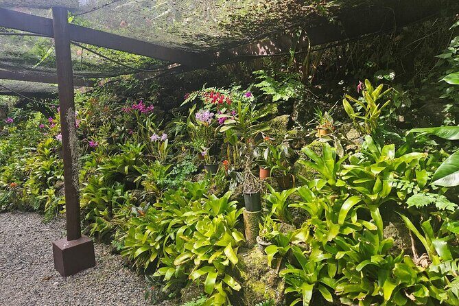 Private Tour: Hot spings & Sleeping Giant Garden hiking Adventure - FAQs