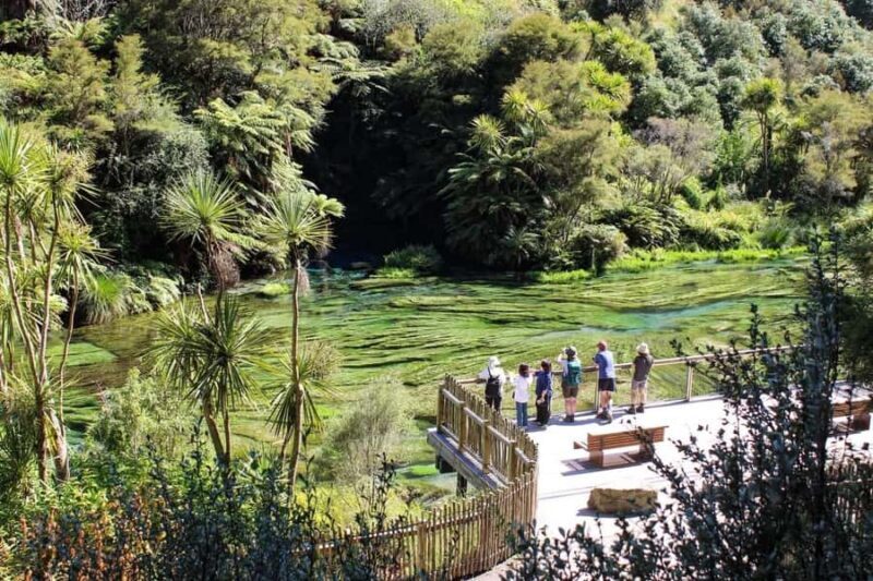 Private Tour: Hunua Falls, Blue Springs & Mclaren waterfall - FAQ