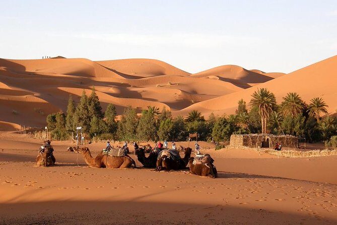 Private Tour Imperial Cities of Morocco from Casablanca 6 Days & 5 Nights - The Practical Side: What You Can Expect