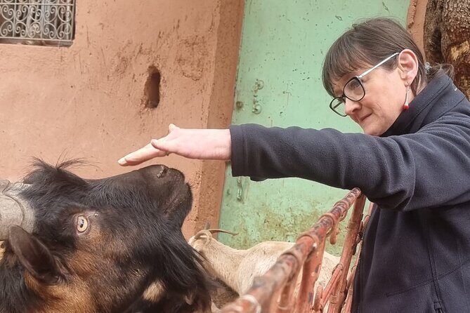 Private Tour in Atlas Mountain and 3 Valleys with Camel Ride - Authentic Encounters and Local Culture