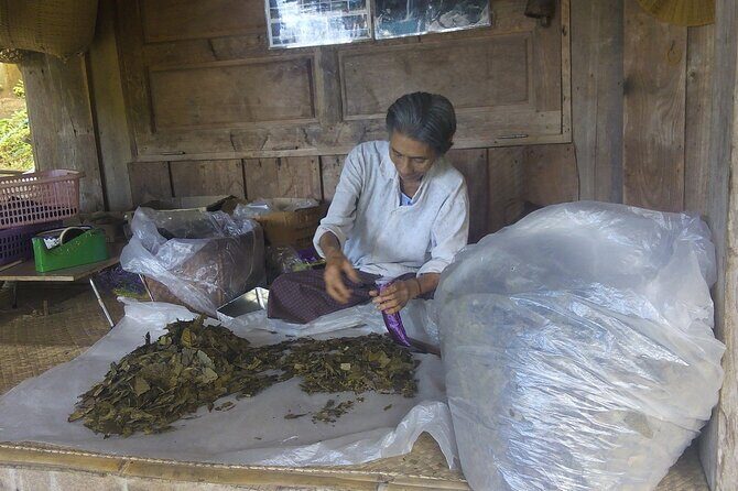 Private Tour in Chiang Mai Village Experience Nature - Analyzing the Value