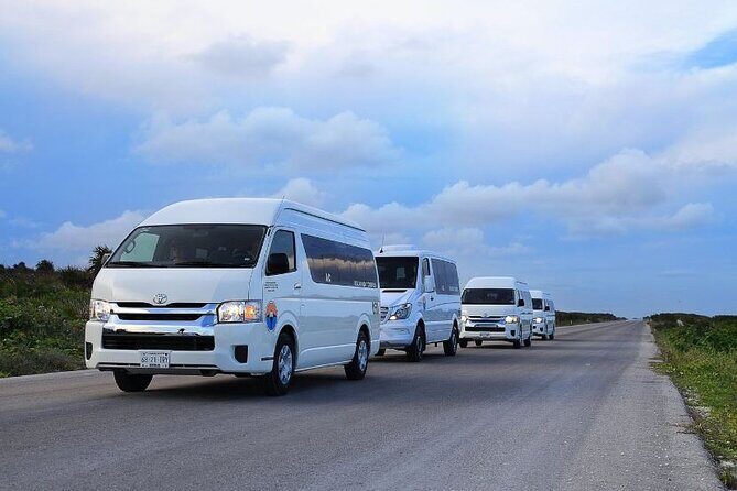 Private Tour in Cozumel in your own way Groups up to 14 People - Why Choose This Tour? What Makes It Stand Out