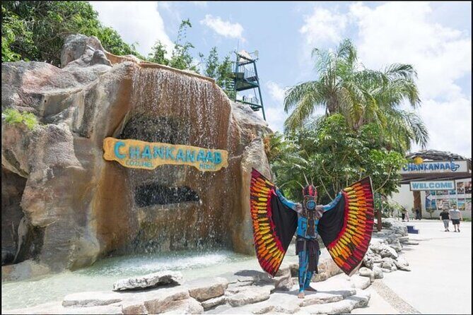 Private Tour in Cozumel in your own way Groups up to 14 People - How Does It Compare in Value?