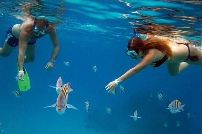 Private Tour in Cozumel in your own way Groups up to 14 People - Final Thoughts: Is This Tour Worth Considering?