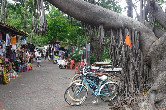Private Tour in El Malecon Boardwalk Bike Ride - Who Should Consider This Tour?
