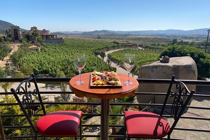 Private Tour in Guadalupe Valley, Vine Yards & Wine Route ENS MX - Why You’ll Love This Tour