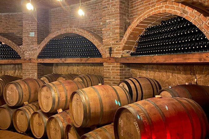 Private Tour in Guadalupe Valley, Vine Yards & Wine Route ENS MX - In-Depth Itinerary Breakdown