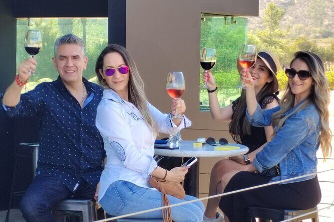 Private Tour in Guadalupe Valley, Vine Yards & Wine Route ENS MX - Who Is This Tour Best For?