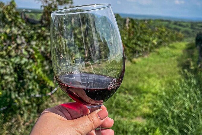 Private Tour in Jalostotitlán and Cerca Blanca Vineyard - Who Will Love This Tour?
