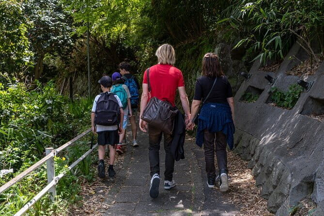 Private tour in Kamakura: Matcha tea tasting & photo shoot - Key Points