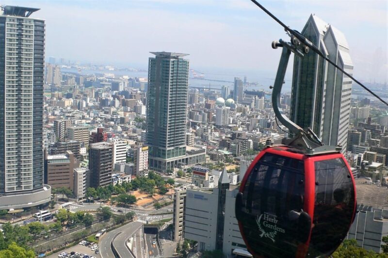 Private tour in Kobe with beef dinner - Why This Tour Offers Good Value