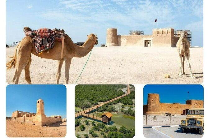 Private Tour in Northern Qatar - The Experience’s Value and Practicalities