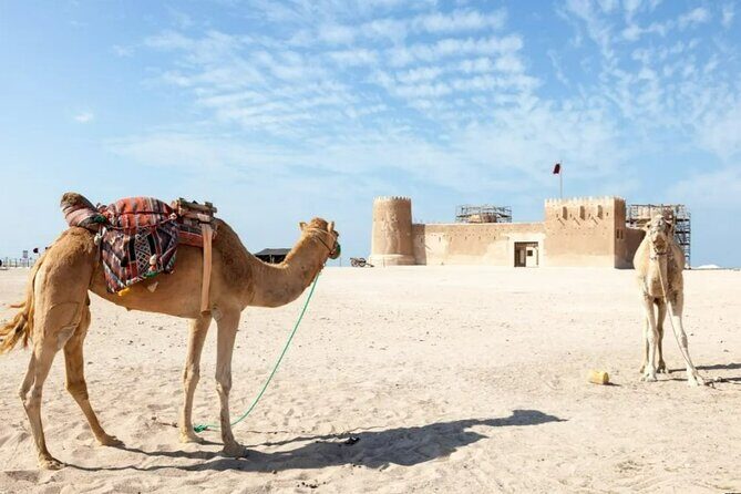 Private Tour in Northern Qatar - The Sum Up